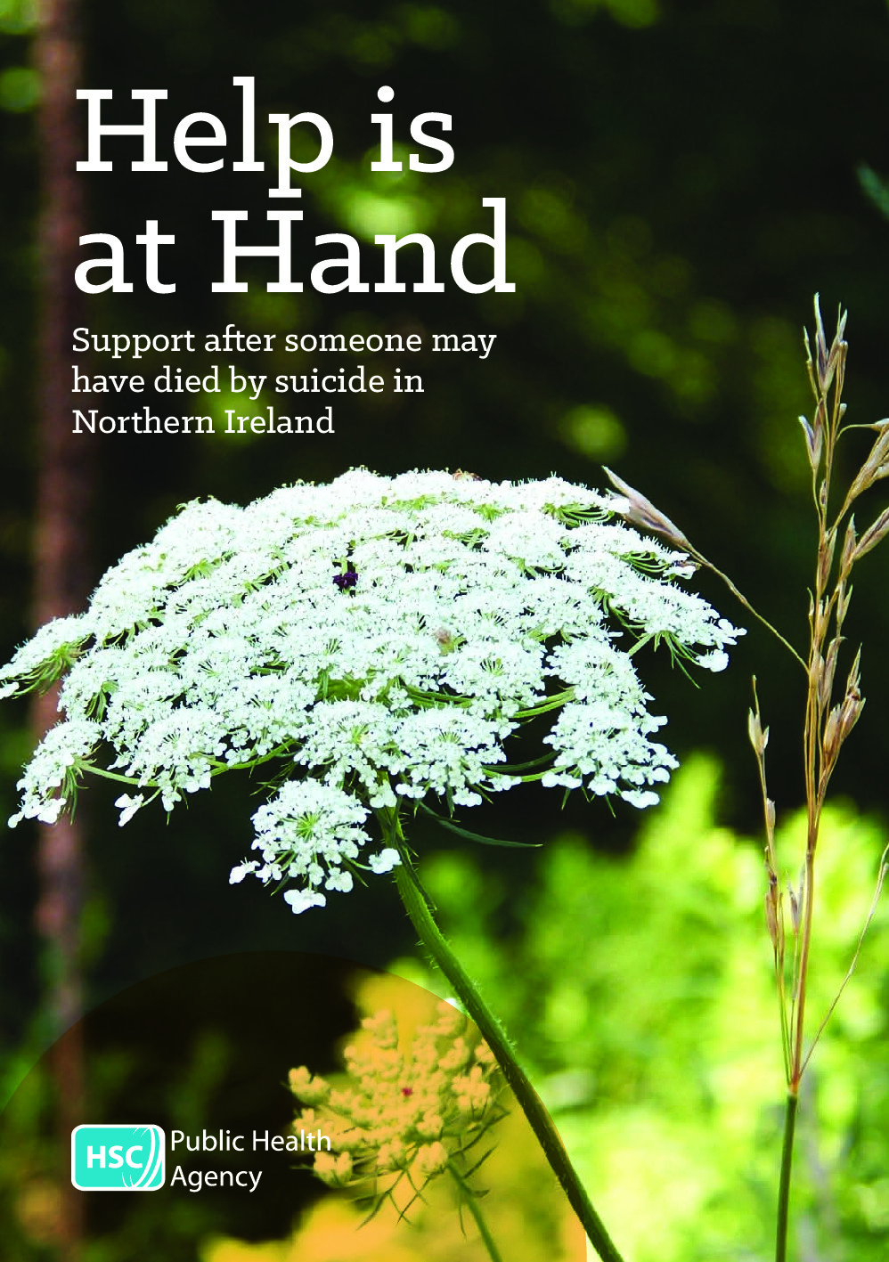 Help is at hand booklet